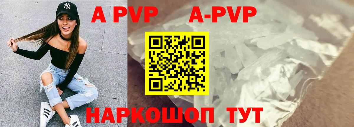A PVP СК КРИС Новошахтинск