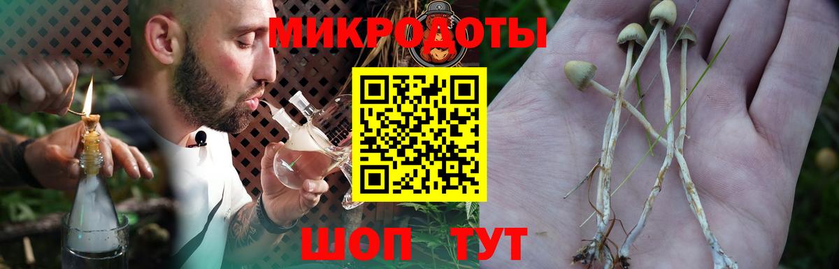 Галлюциногенные грибы прущие грибы  Вход с VPN  Новошахтинск  Псилоцибиновые грибы Cubensis 